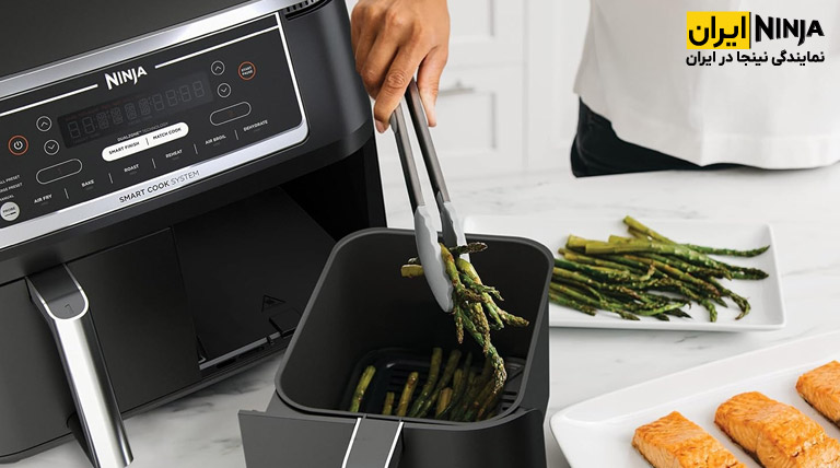 طراحی بدنه سرخ کن دوقلو نینجا مدل DZ550