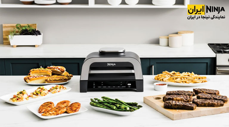 بهترین سرخ کن و گریل از برند نینجا مدل DG551 با قابلیت یخ زدایی
